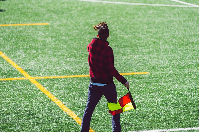 与怀特的加 与怀特的加