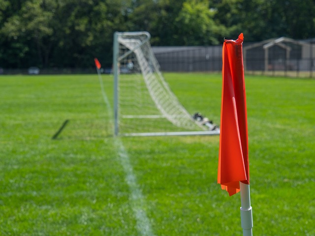 希望在未来 希望在未来