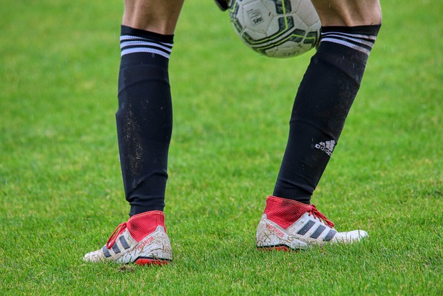 与的关键因 与的关键因