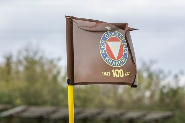 能否再度助 能否再度助