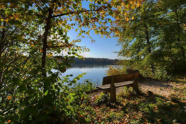 了可靠的 了可靠的