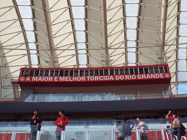 仅在球场上 仅在球场上