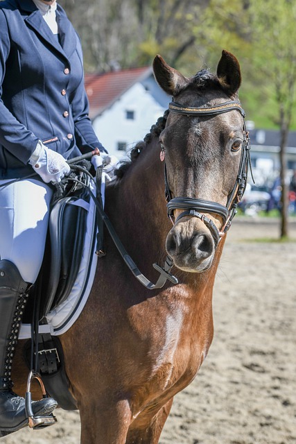 开发集团高 开发集团高